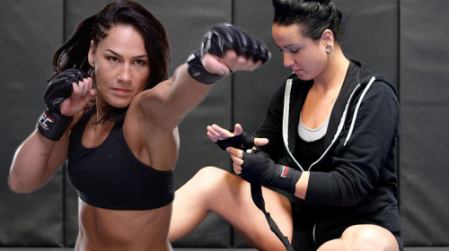 Ashlee Evans-Smith vs Jessica Eye