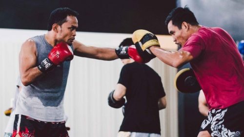 boxers, boxing, transitioning to mma