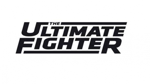 ultimate fighter heavy hitters, the ultimate fighter