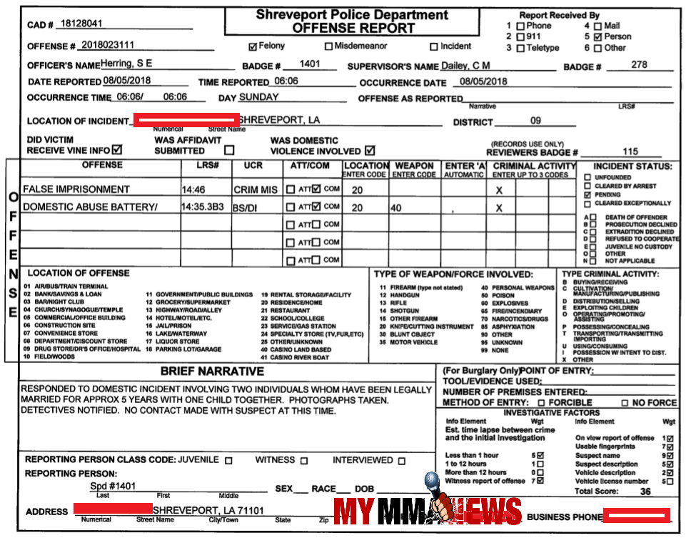 andrea lee police report