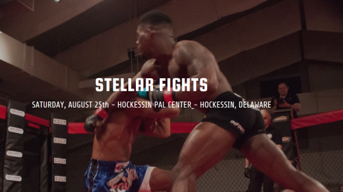 Stellar Fights 38 Results