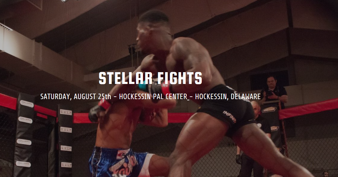 Stellar Fights 38 Results