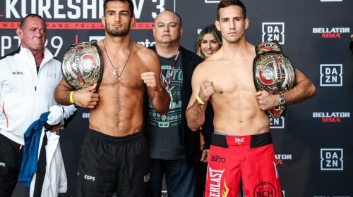 ellator 206, Bellator 206 results