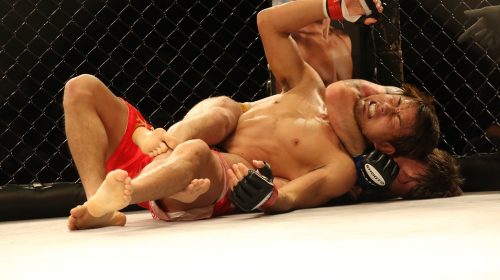 A short history of MMA