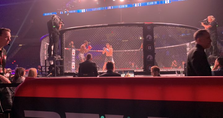 Bellator 208, Bellator 208 results