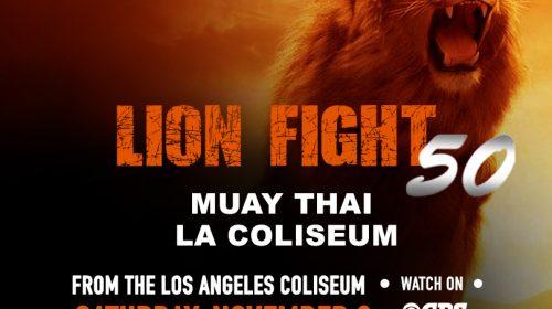 Lion Fight 50