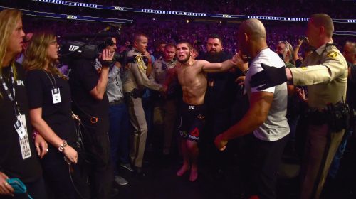 ufc 229 brawl