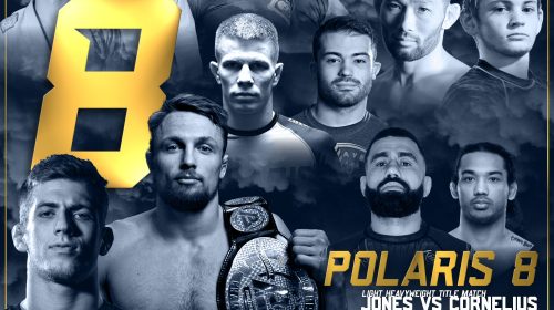 POLARIS 8