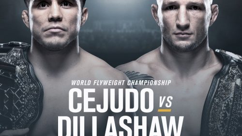 UFC 233, T.J. Dillashaw