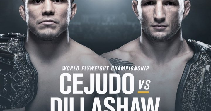 UFC 233, T.J. Dillashaw