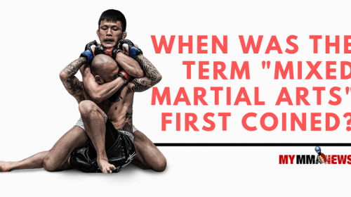 When was the term 'mixed martial arts' first coined?