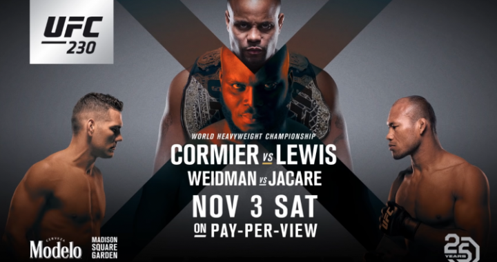 UFC 230 results