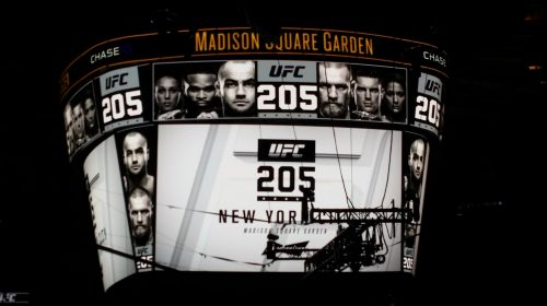 New York, MMA, UFC 205, Madison Square Garden