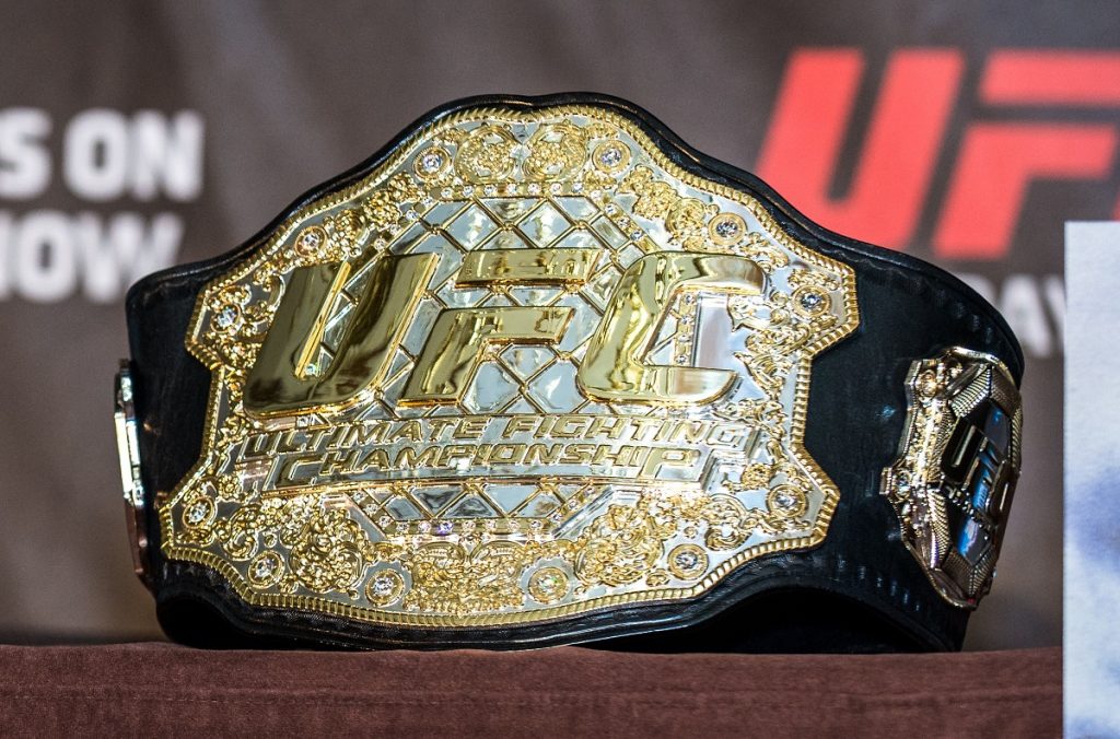 Predicting the UFC Champions at the End of 2019