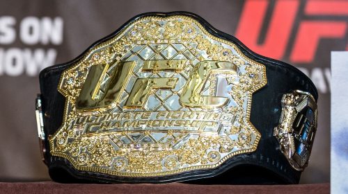 Predicting the UFC Champions at the End of 2019