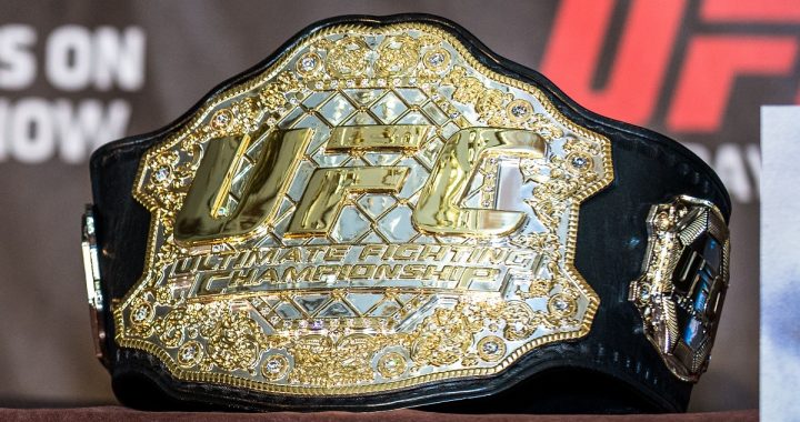 Predicting the UFC Champions at the End of 2019