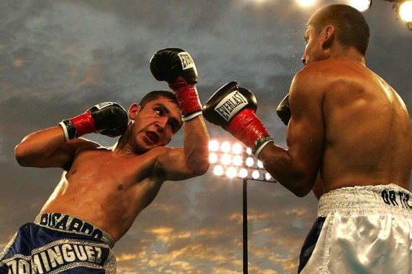 Knockout Betting The Best Upcoming Fights