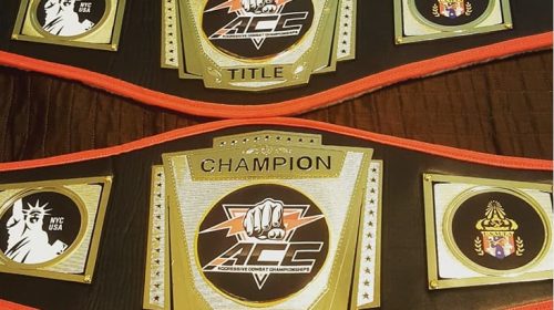 Aggressive Combat Championships to crown 2 champions at ACC 20