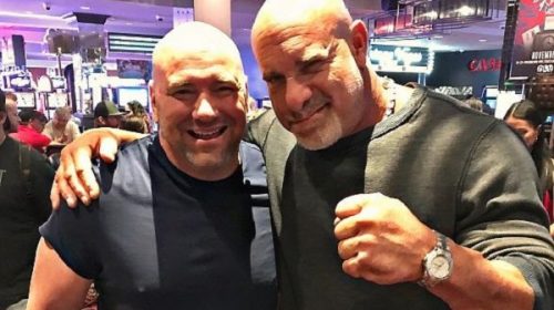 Bill Goldberg