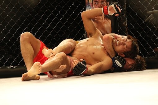 The Best Promotions for MMA Betting