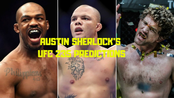 UFC 235 Predictions