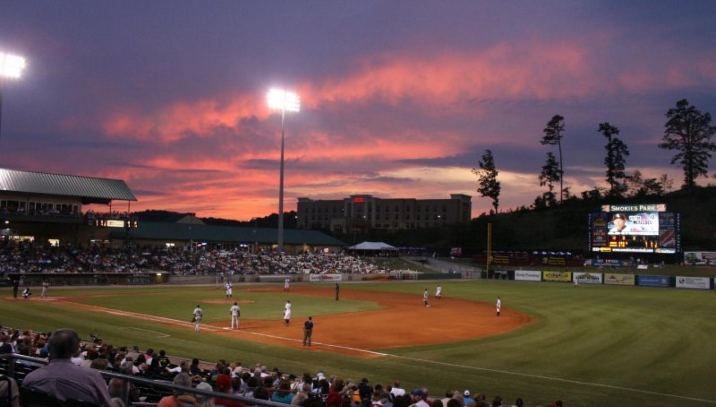 are dogs allowed at smokies stadium