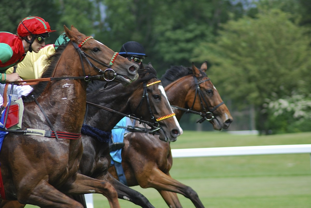 2019 Triple Crown Series Nominations: Game Winner Leads The Poll