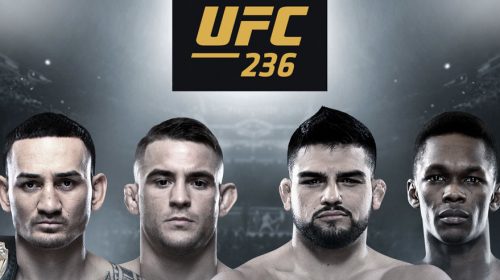 UFC 236 results, UFC 236