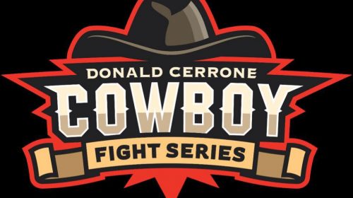 Cowboy Fight Series