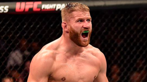 Jan Blachowicz, UFC 267 preview