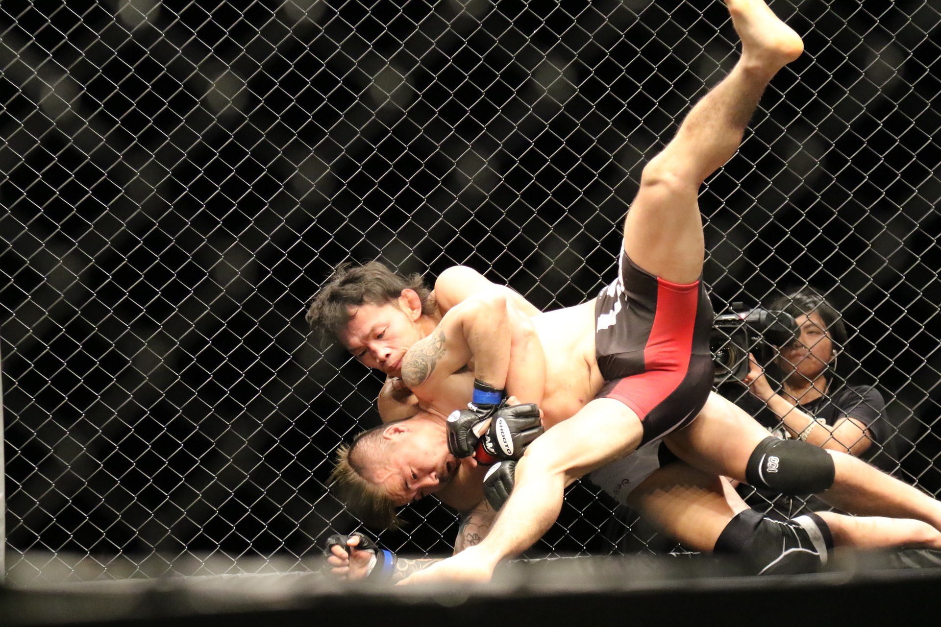 This Is What Mixed Martial Arts Fans Find Interesting About The Sport