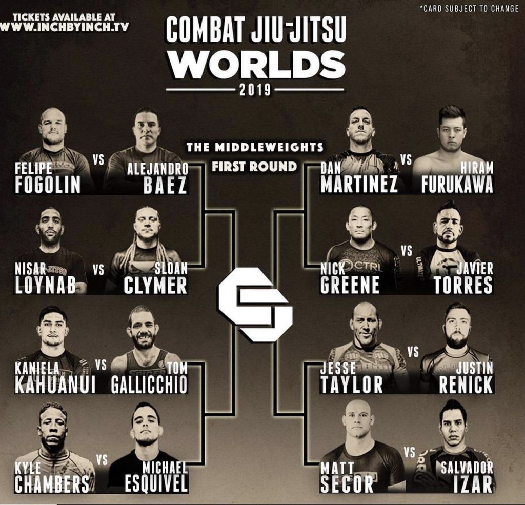 JIU JITSU 2019 WORLD RESULTS