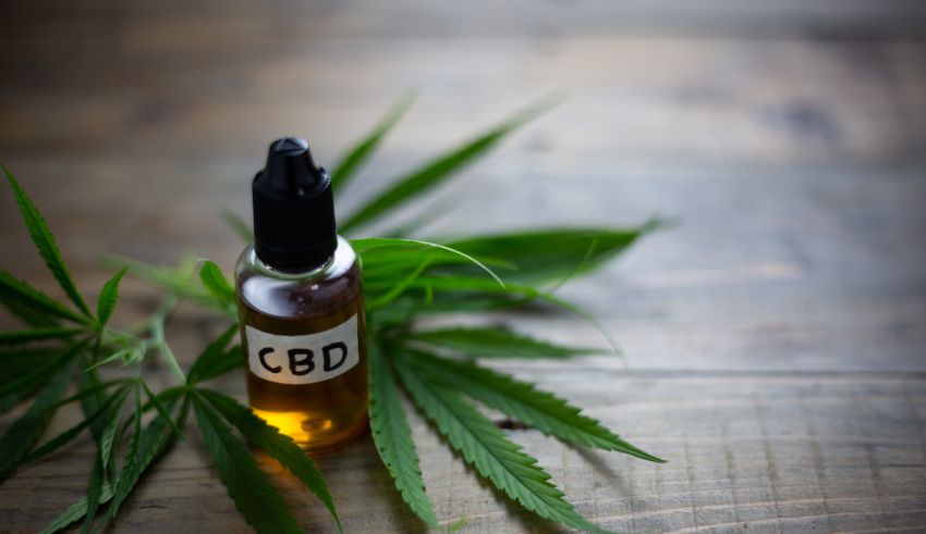 cbd oil