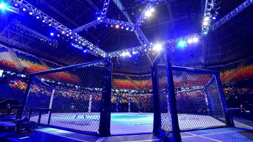 fights, COVID-19, How MMA and the UFC went global - and what is next for the sport and its flagship company