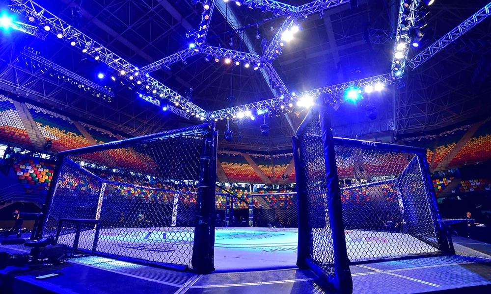 fights, COVID-19, How MMA and the UFC went global - and what is next for the sport and its flagship company