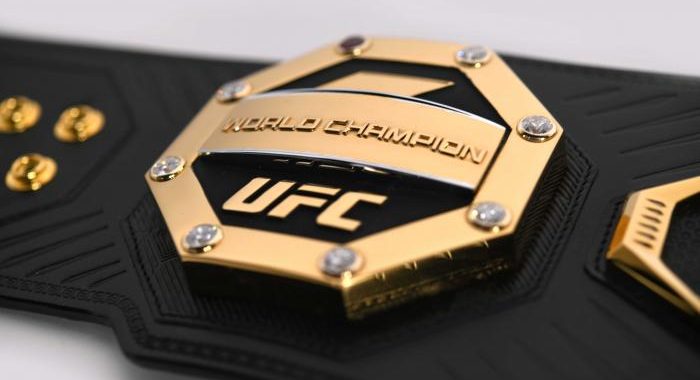 Predicting the UFC champions at the end of 2020