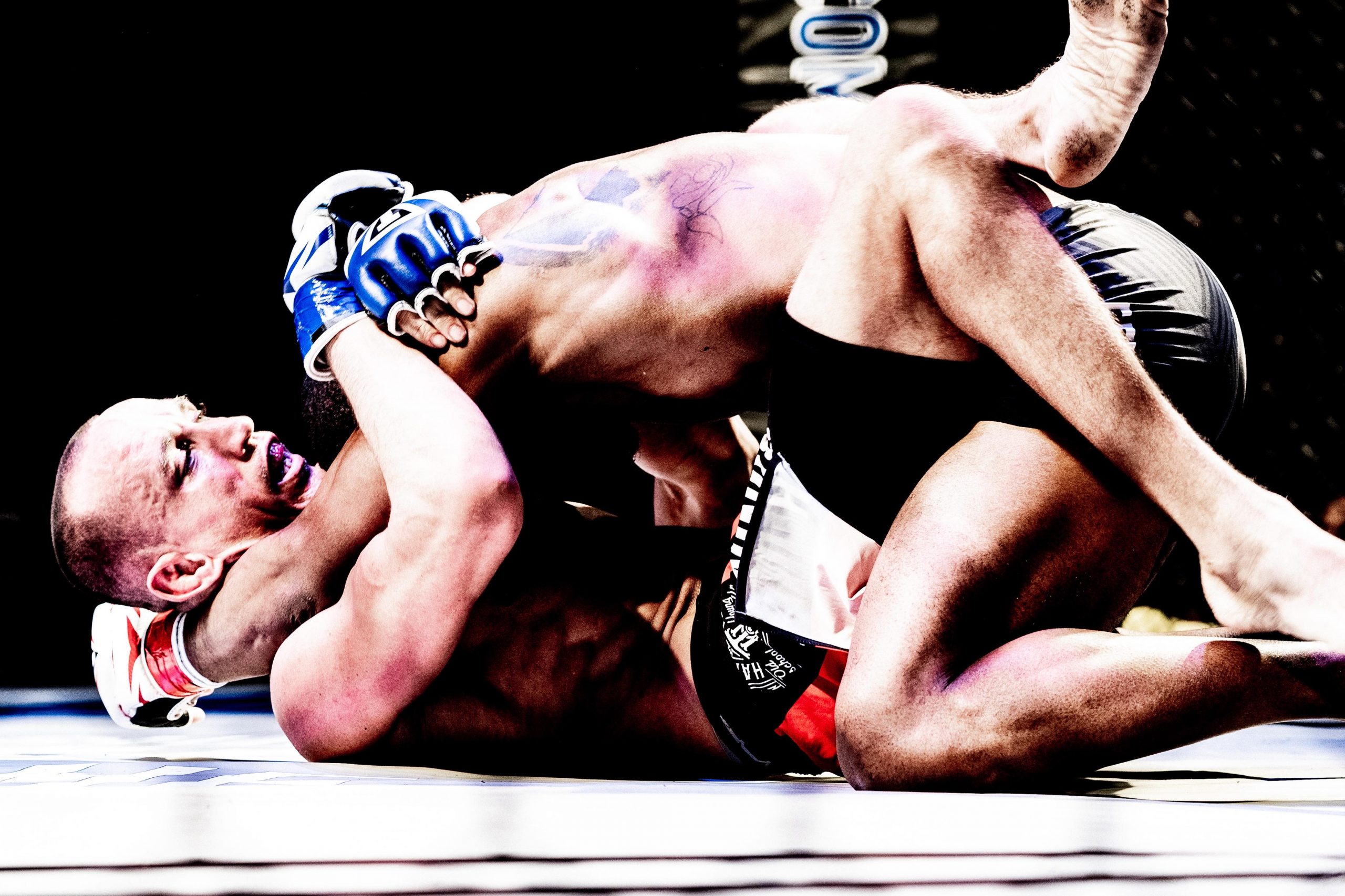 Alfred Leisure (bottom) vs. Corey Dulaney - Ohio Combat League 5 - Photo by Dave Hatfield (thelastwhitesquirrel)