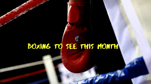 Garcia vs Vargas, boxing