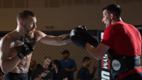 train like a professional mma fighter