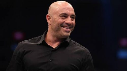 joe rogan, ufc 249