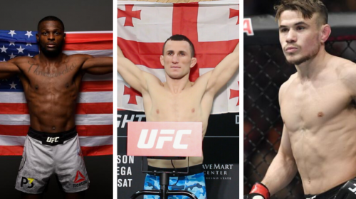 ufc bantamweights, Merab Dvalishvili, Montel Jackson, Nathaniel Wood