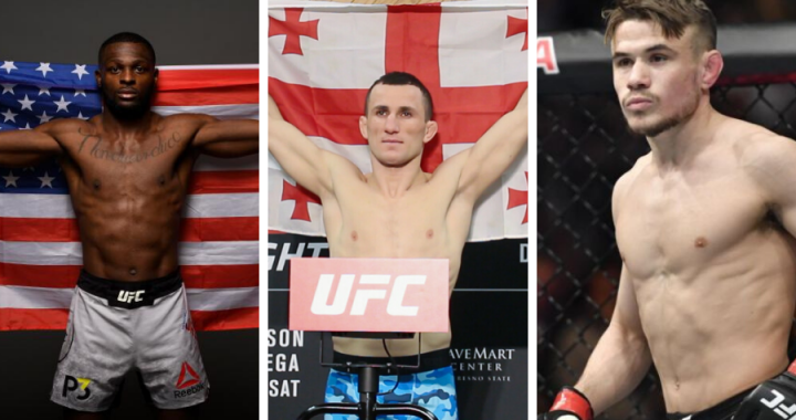 ufc bantamweights, Merab Dvalishvili, Montel Jackson, Nathaniel Wood