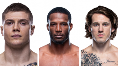 Ufc middleweight, marvin vettori, karl roberson, brendan allen
