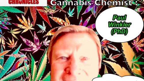 Paul Winkler discusses what to look for in your medicine