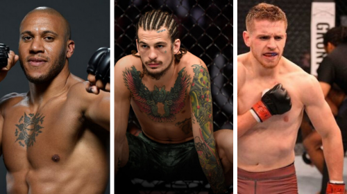 Three "Dark Horses" in the UFC