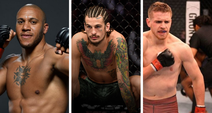 Three "Dark Horses" in the UFC