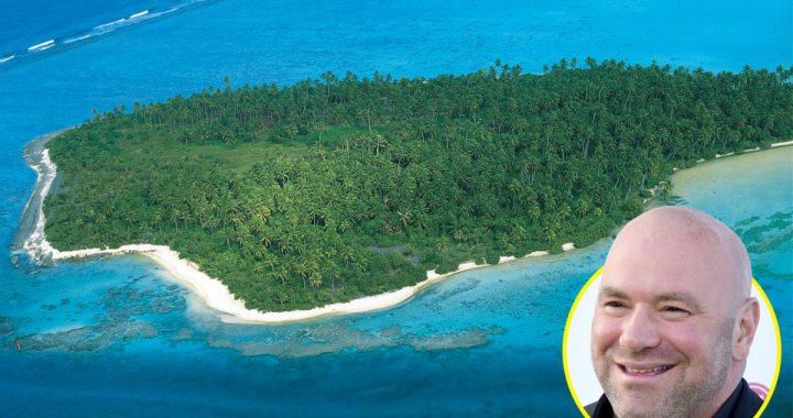 ufc fight island