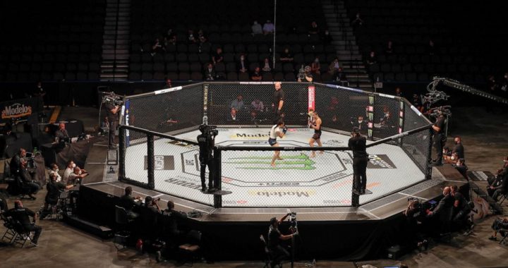 UFC without fans