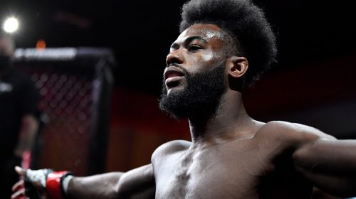 Aljamain Sterling, UFC 250