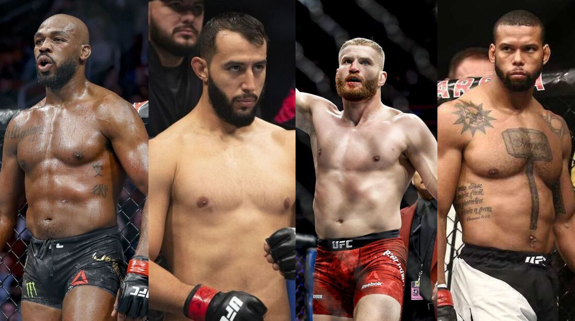What's next in the UFC title picture?